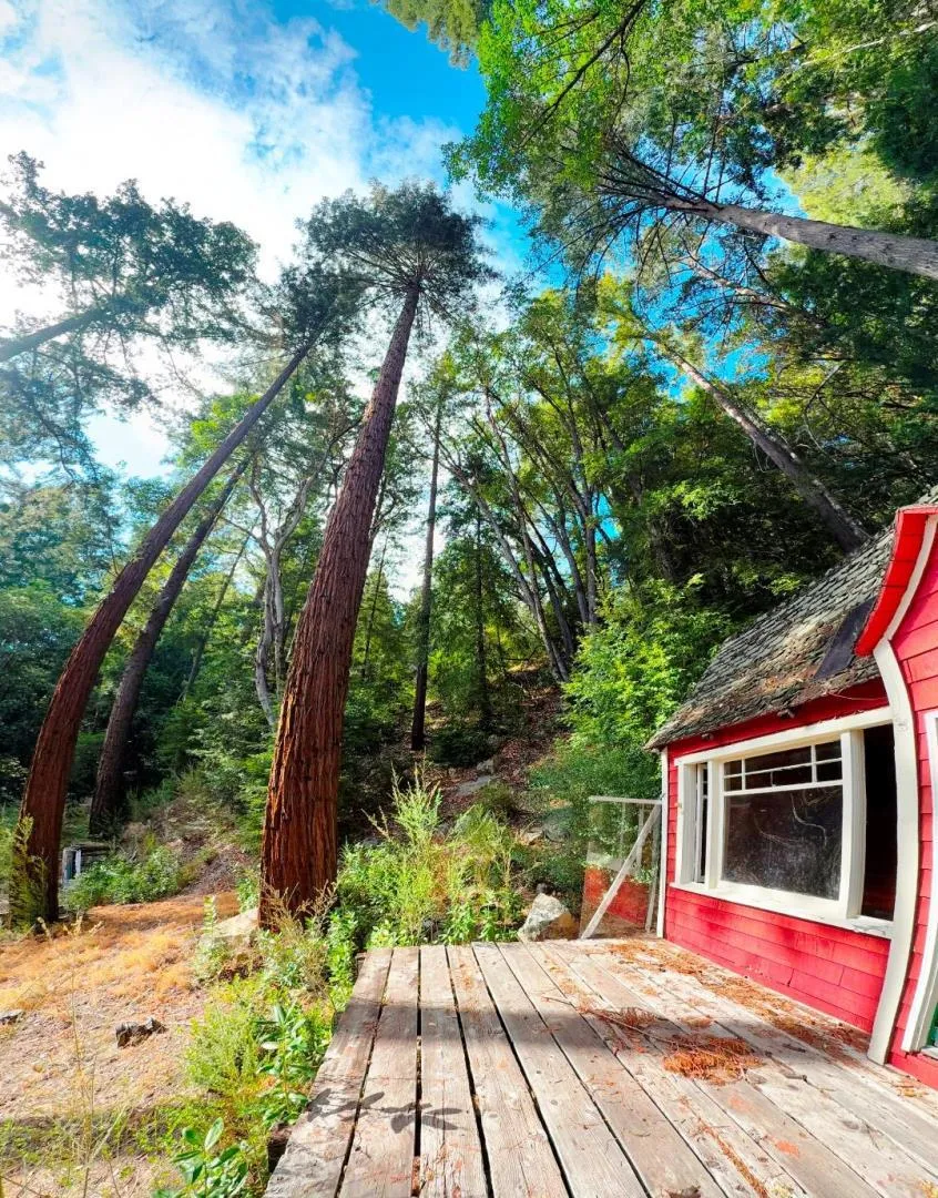 320 Timber Cove Boulder Creek, CA 95006