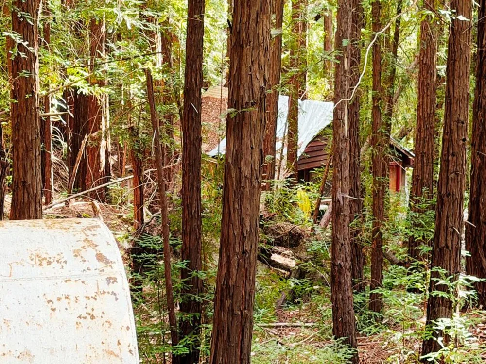 320 Timber Cove Boulder Creek, CA 95006