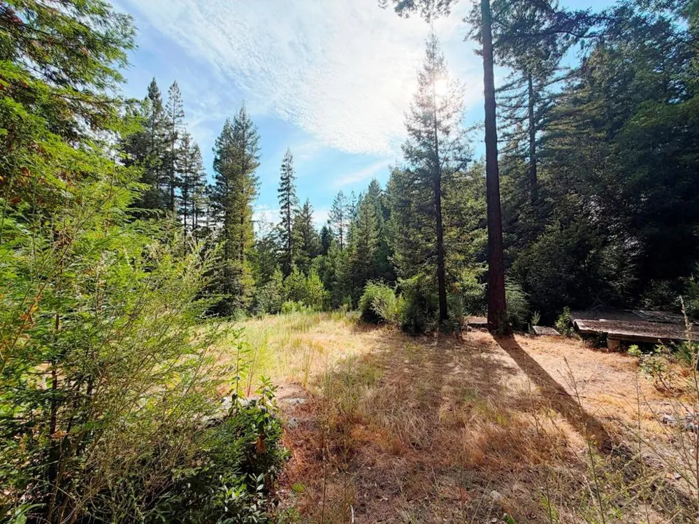 320 Timber Cove Boulder Creek, CA 95006