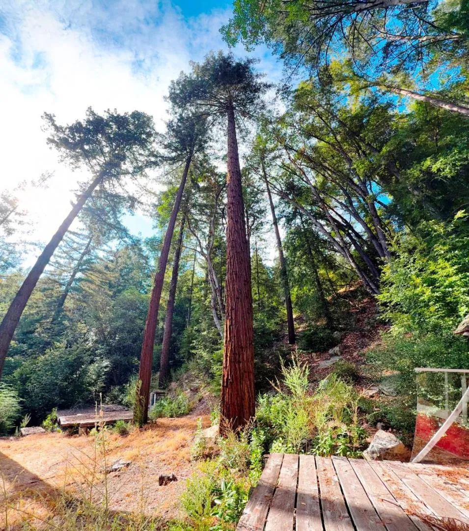 320 Timber Cove Boulder Creek, CA 95006