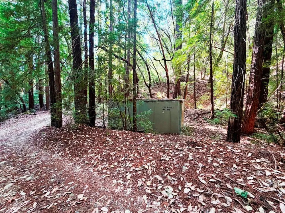 320 Timber Cove Boulder Creek, CA 95006