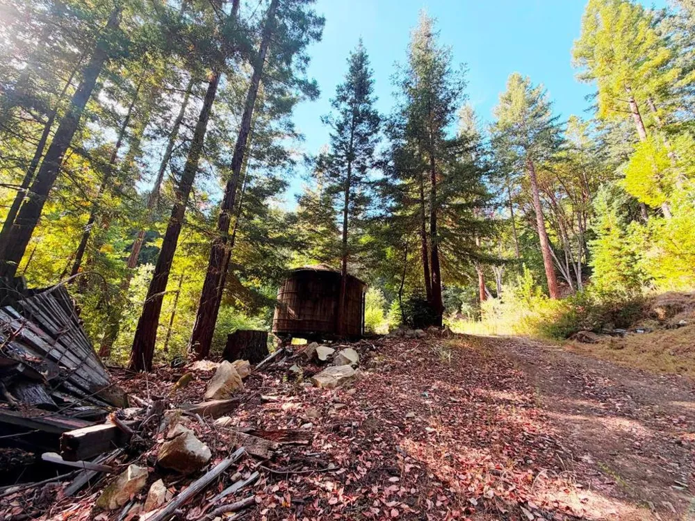 320 Timber Cove Boulder Creek, CA 95006