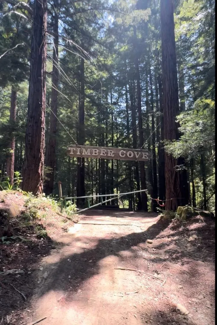 320 Timber Cove Boulder Creek, CA 95006