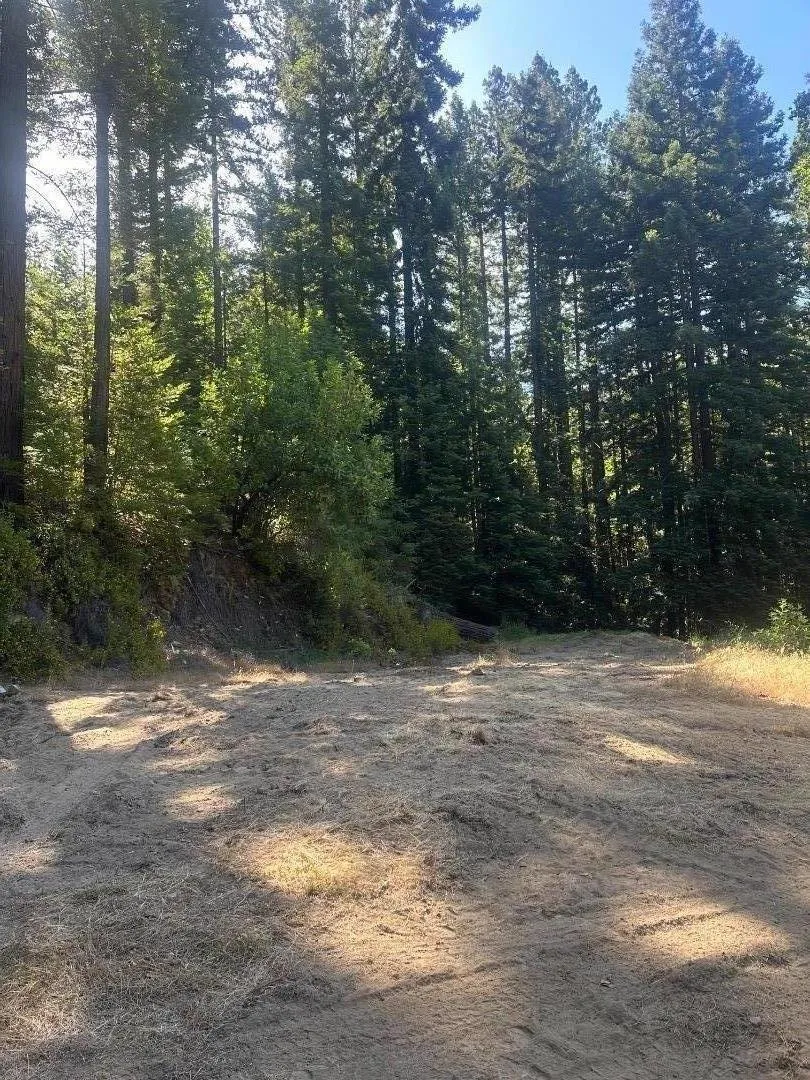 320 Timber Cove Boulder Creek, CA 95006