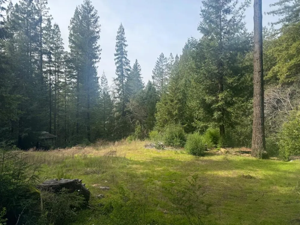 320 Timber Cove Boulder Creek, CA 95006