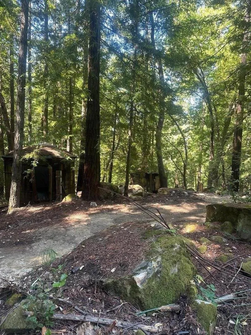 320 Timber Cove Boulder Creek, CA 95006