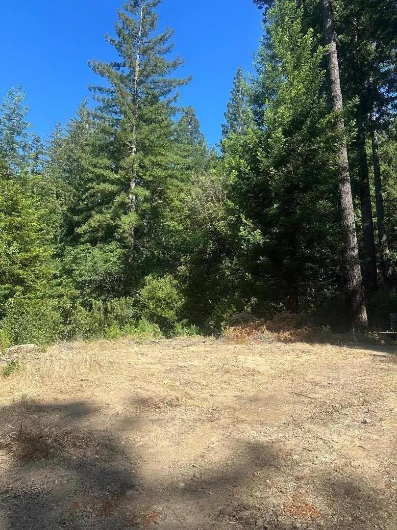 320 Timber Cove Boulder Creek, CA 95006