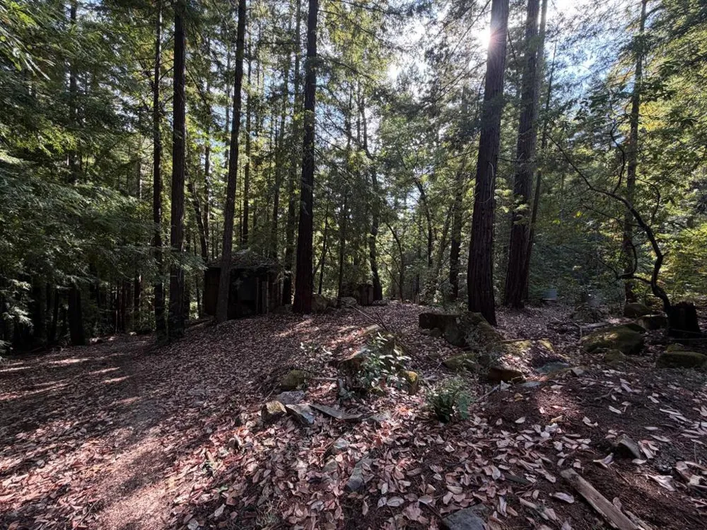 320 Timber Cove Boulder Creek, CA 95006