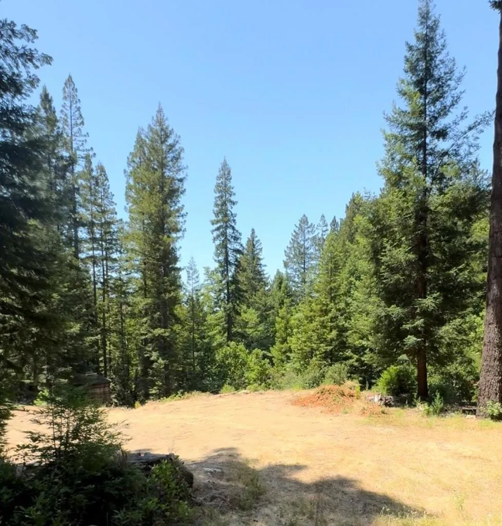 320 Timber Cove Boulder Creek, CA 95006