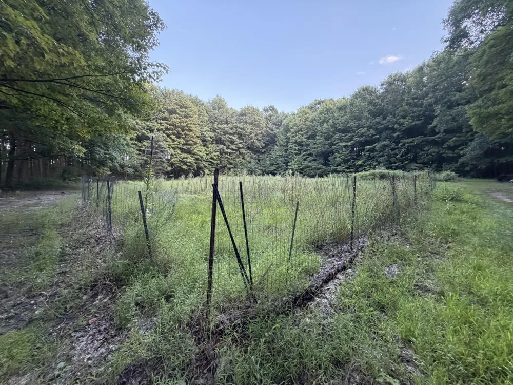 8299 W Walker Road Caldwell Township, MI 49663