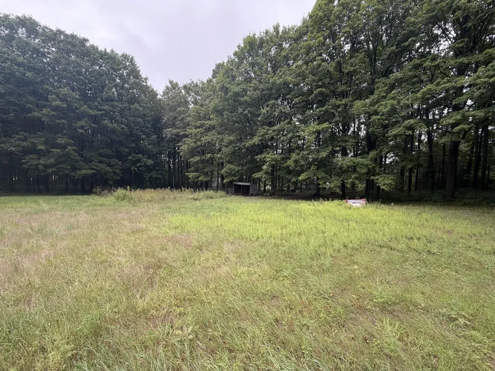 8299 W Walker Road Caldwell Township, MI 49663