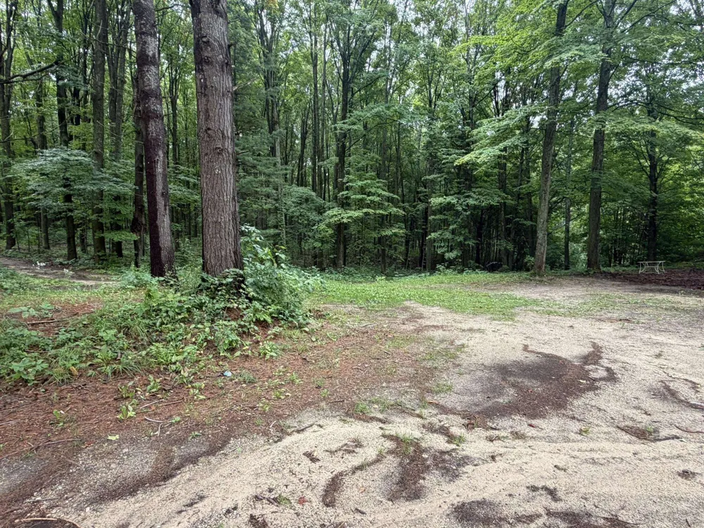 8299 W Walker Road Caldwell Township, MI 49663