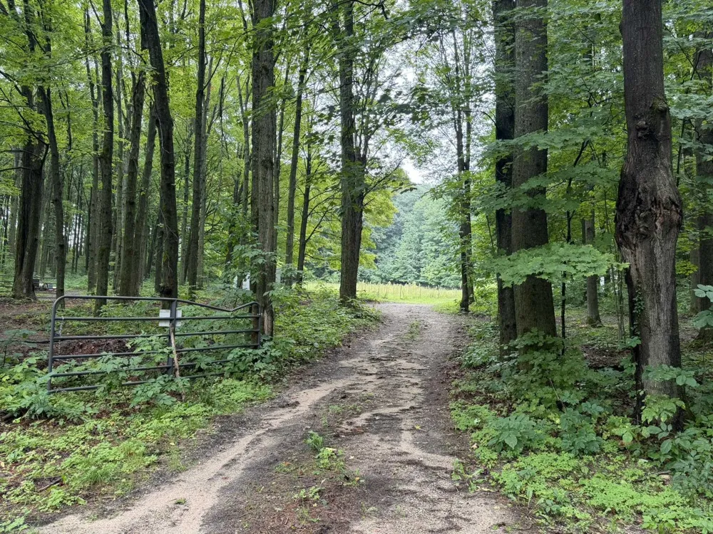 8299 W Walker Road Caldwell Township, MI 49663