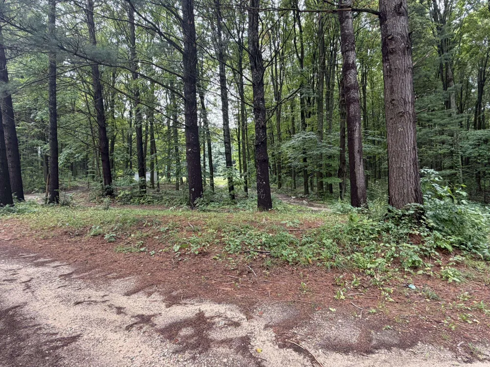 8299 W Walker Road Caldwell Township, MI 49663