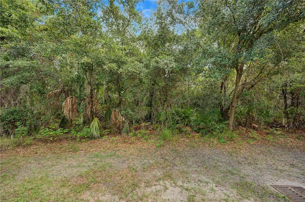 6914 HOLLY HEATH DRIVE Riverview, FL 33578