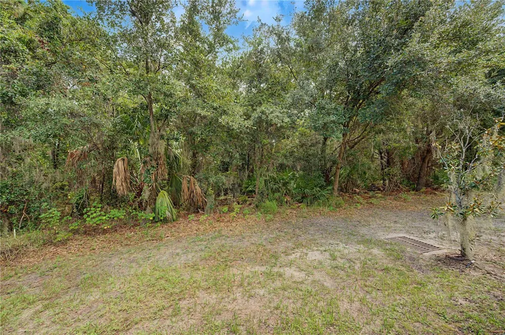 6914 HOLLY HEATH DRIVE Riverview, FL 33578