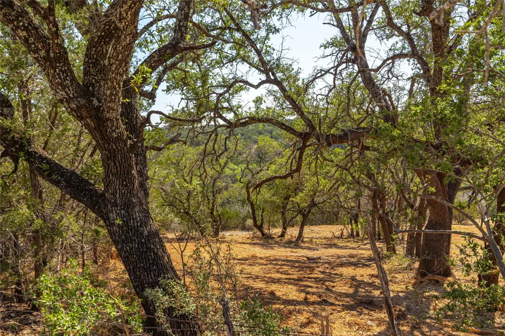 20 Seven Spring Drive Junction, TX 76849