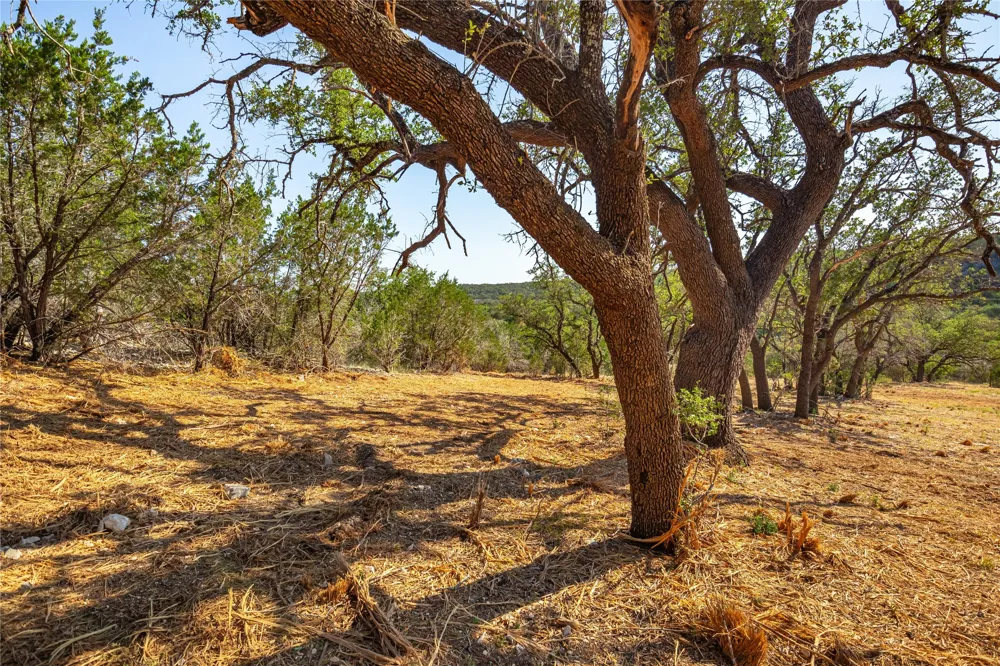 20 Seven Spring Drive Junction, TX 76849