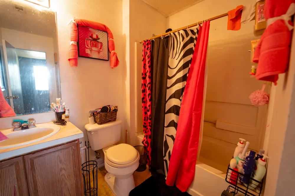 9703 Whistler Drive Dallas, TX 75217