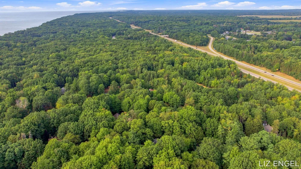 2309 Forest Trail Circle Fennville, MI 49408