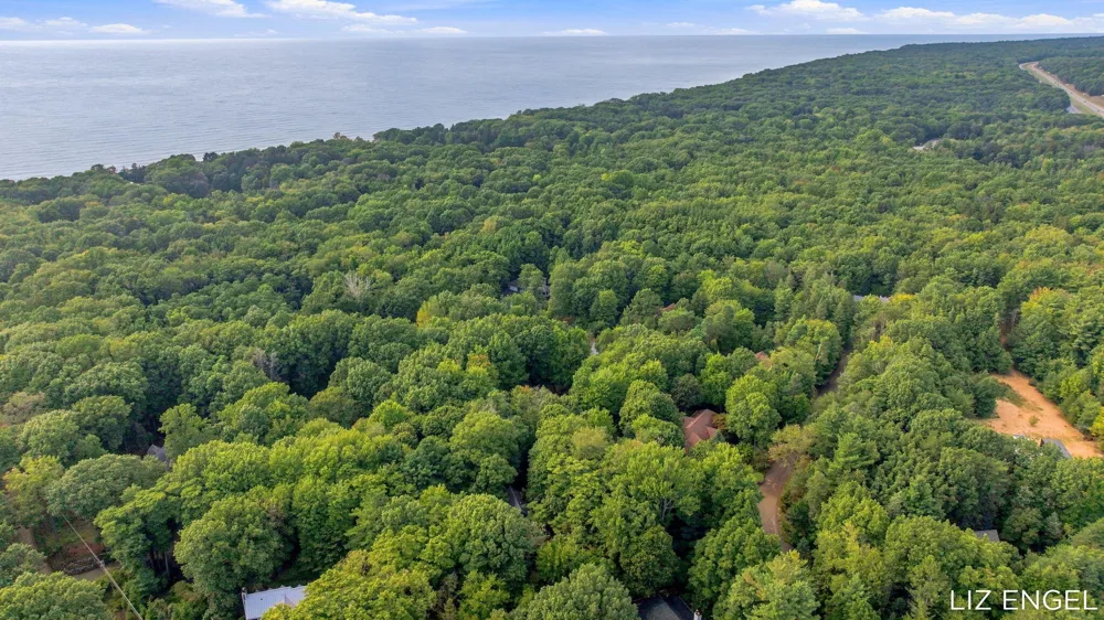 2309 Forest Trail Circle Fennville, MI 49408