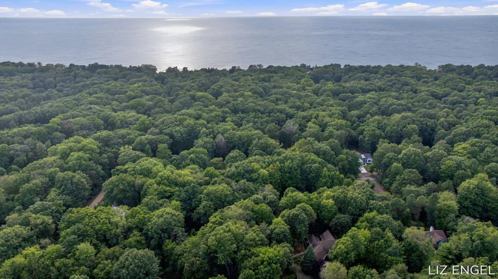 2309 Forest Trail Circle Fennville, MI 49408