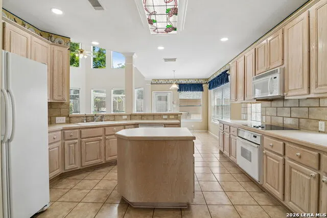 24232 BEAR MTN San Antonio, TX 78258