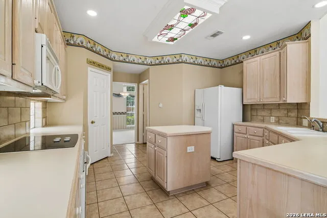 24232 BEAR MTN San Antonio, TX 78258