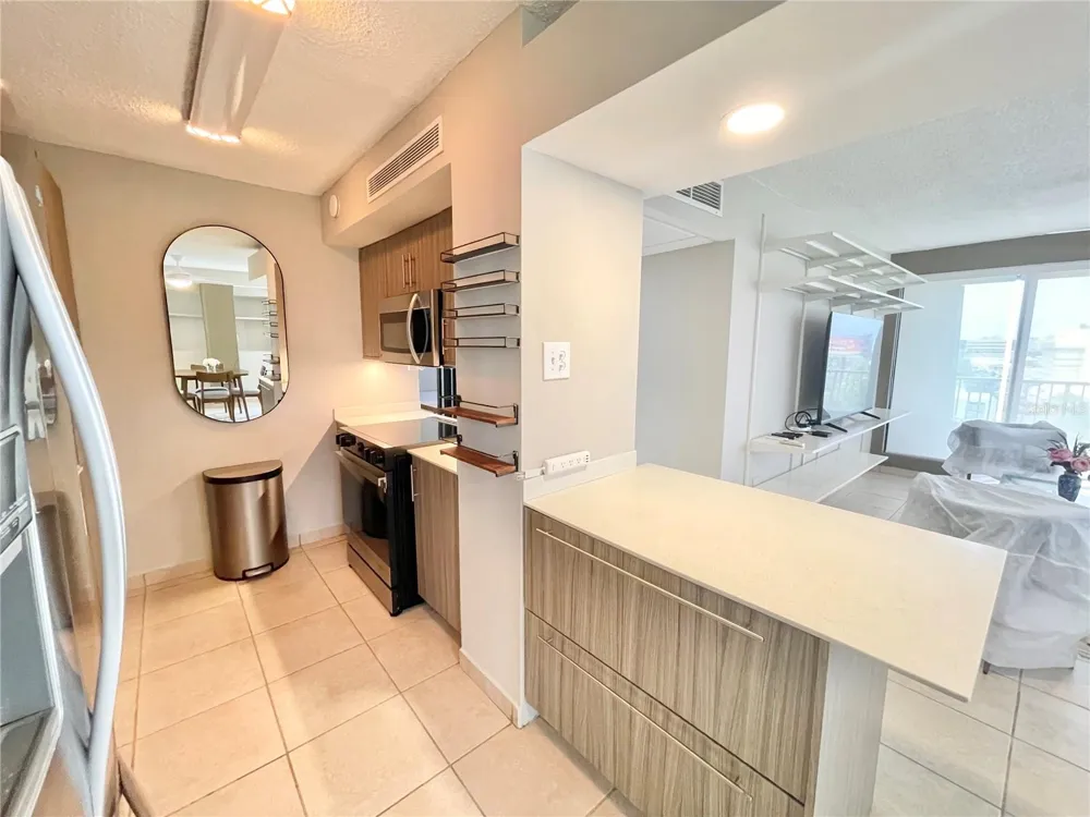 Cond. Castillo del Mar AVE. ISLA VERDE #501 Carolina, PR 00979