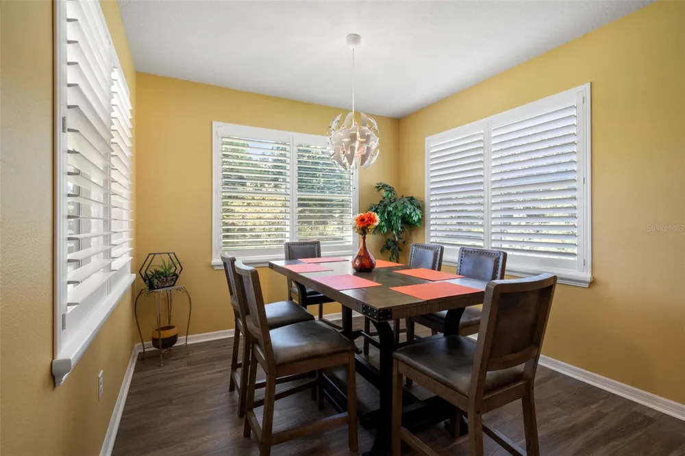 19620 LONESOME PINE DRIVE Land O Lakes, FL 34638