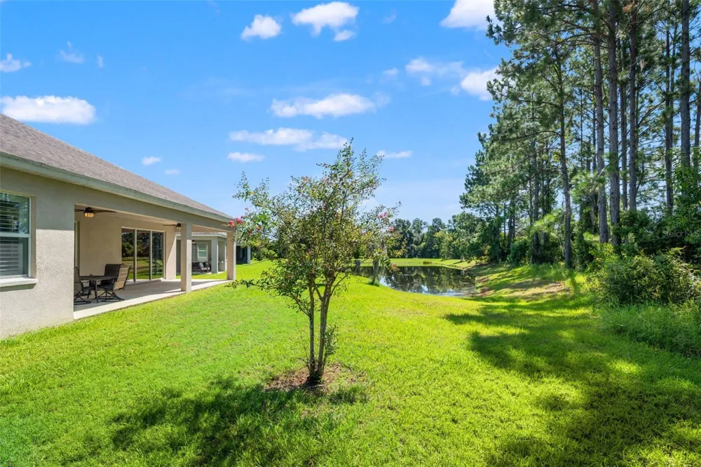 19620 LONESOME PINE DRIVE Land O Lakes, FL 34638
