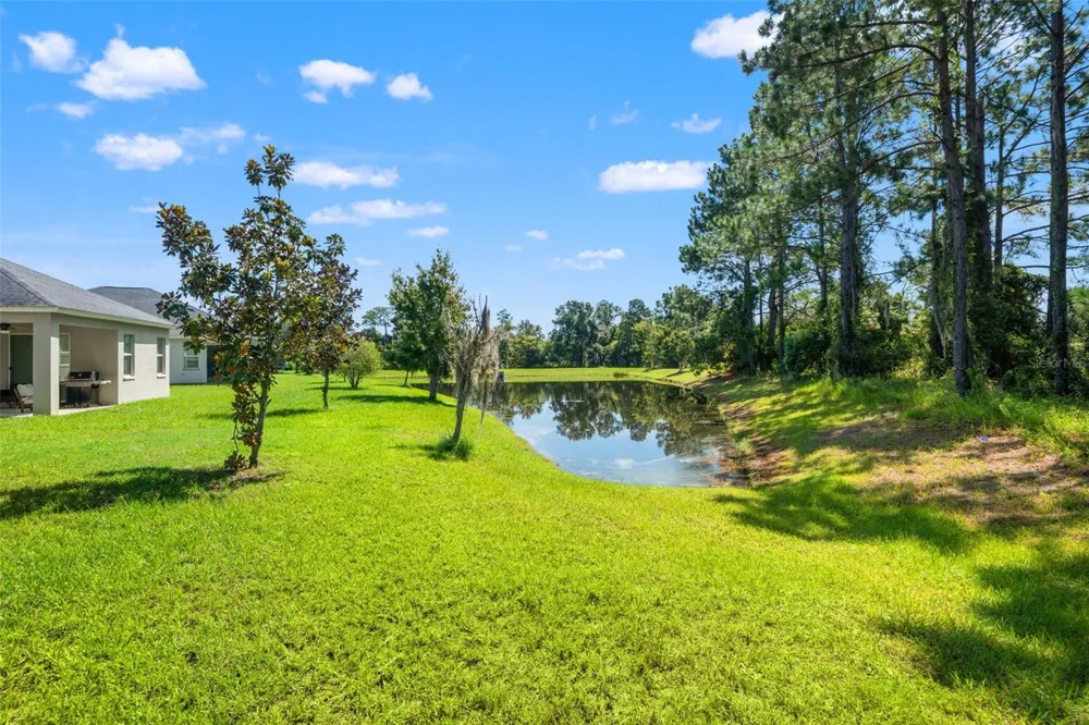19620 LONESOME PINE DRIVE Land O Lakes, FL 34638