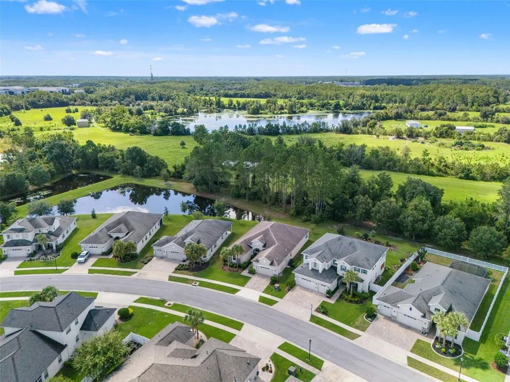 19620 LONESOME PINE DRIVE Land O Lakes, FL 34638