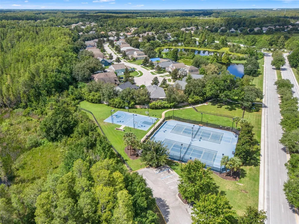 19620 LONESOME PINE DRIVE Land O Lakes, FL 34638