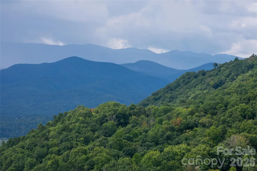 303 Wodigeasgohi Drive Brevard, NC 28712