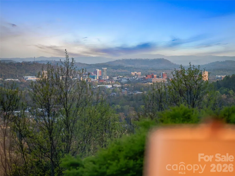 10 Beaverbrook Court Asheville, NC 28804