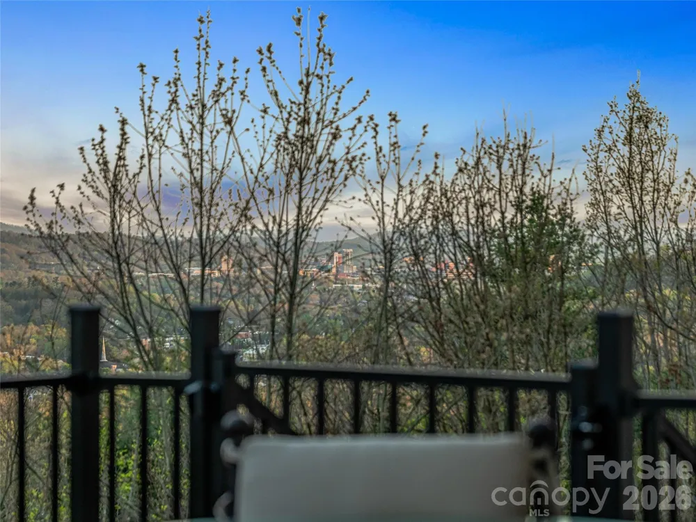 10 Beaverbrook Court Asheville, NC 28804