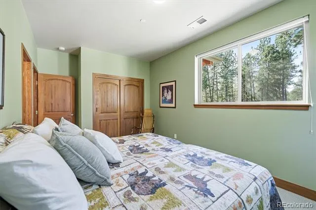13694 Drake Court Pine, CO 80470