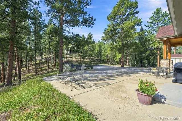 13694 Drake Court Pine, CO 80470