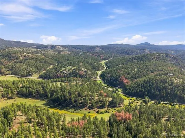 13694 Drake Court Pine, CO 80470