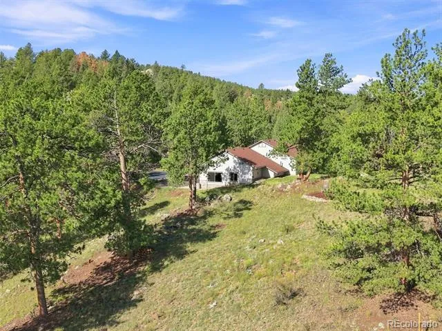 13694 Drake Court Pine, CO 80470