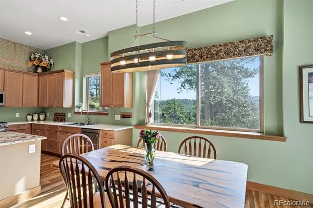 13694 Drake Court Pine, CO 80470