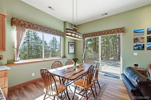 13694 Drake Court Pine, CO 80470