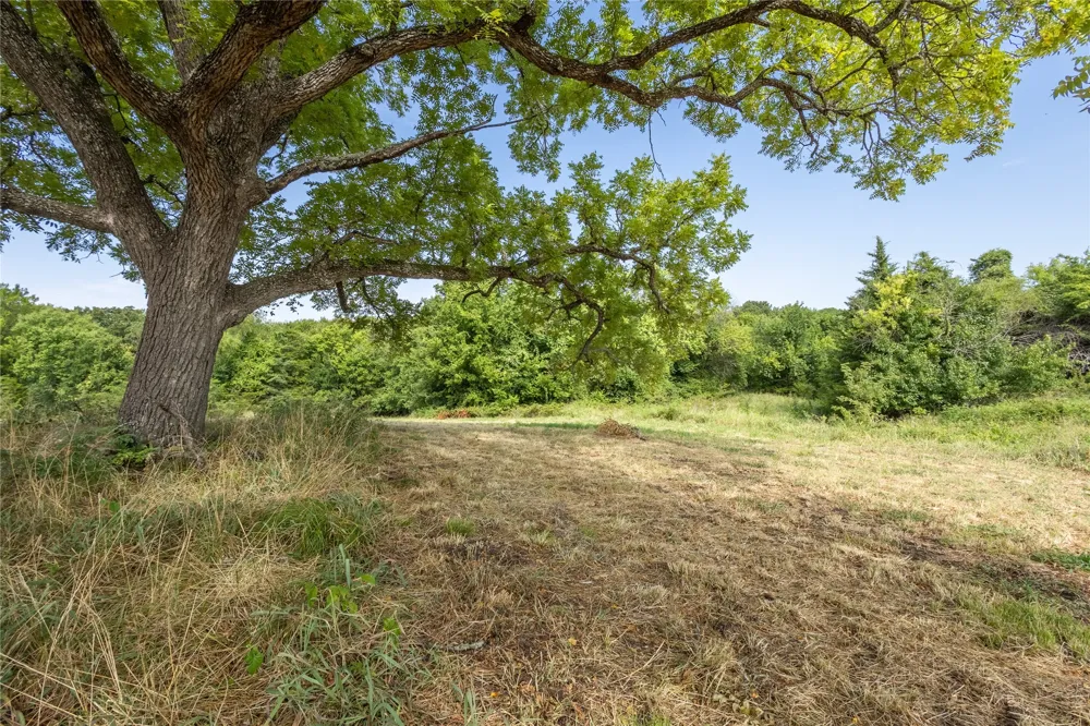 1966 C R 2980 Windom, TX 75492