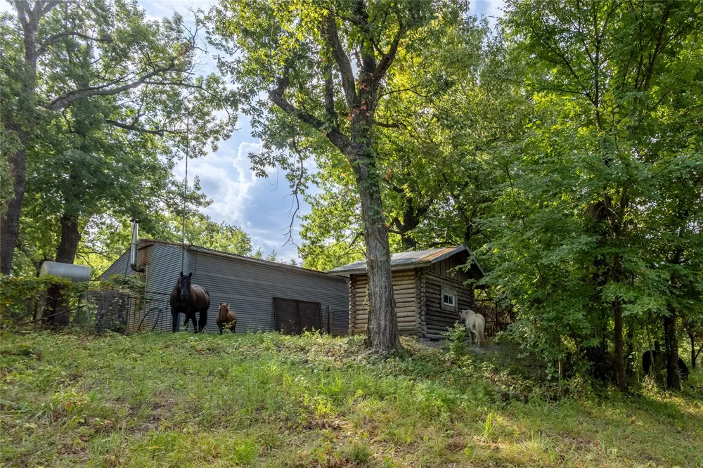 1966 C R 2980 Windom, TX 75492