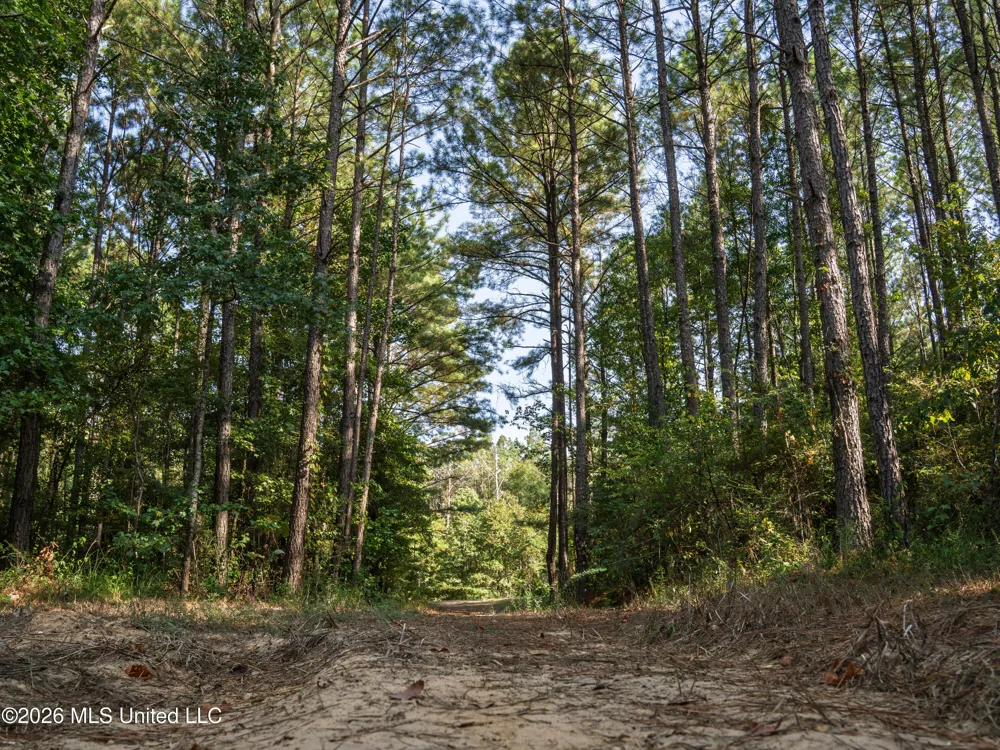 884 Truitt Road Pickens, MS 39146