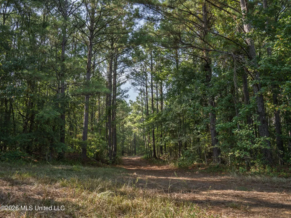 884 Truitt Road Pickens, MS 39146