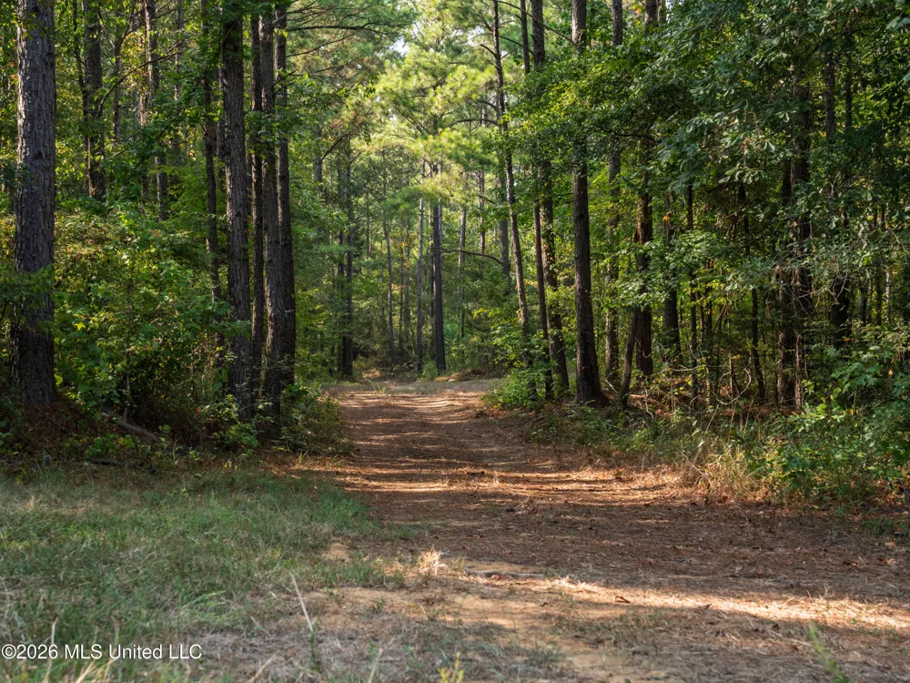 884 Truitt Road Pickens, MS 39146