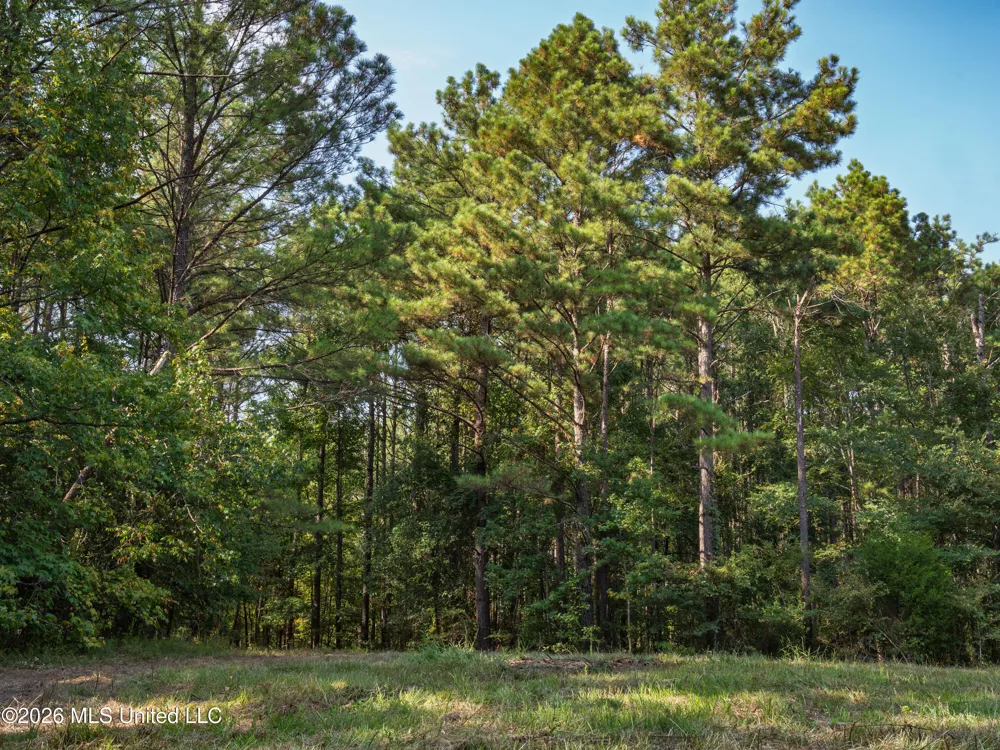 884 Truitt Road Pickens, MS 39146