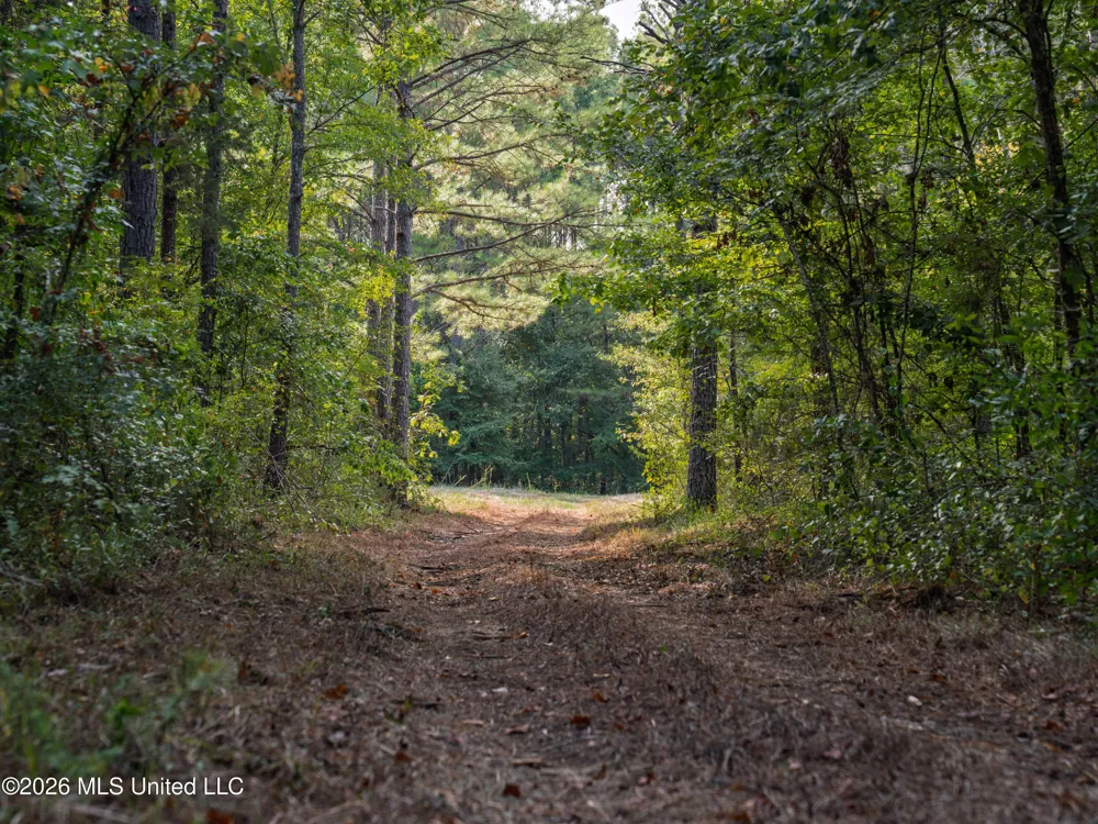 884 Truitt Road Pickens, MS 39146